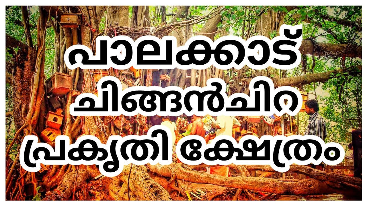 ചിങ്ങൻചിറ കാഴ്ചകൾ PALAKKAD