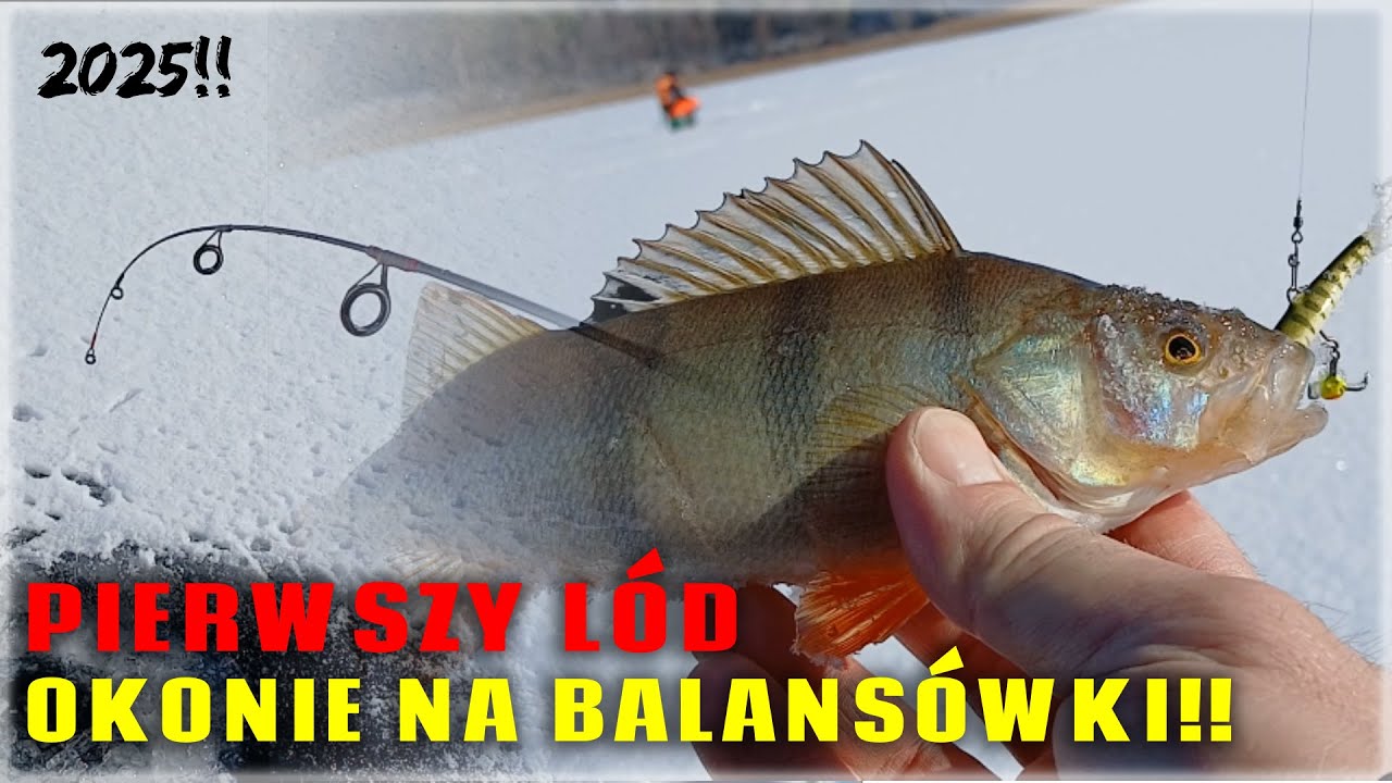 Okonie z pierwszego Lodu!! | Masa Okoni!! | Okonie na Balansówki!! | Wędkarstwo Podlodowe 2025!!
