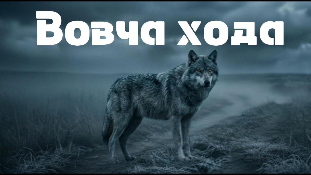 Vovcha hoda