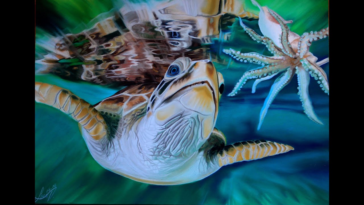 Speeddrawing 'Turtle & Octopus' | Svea T. Art