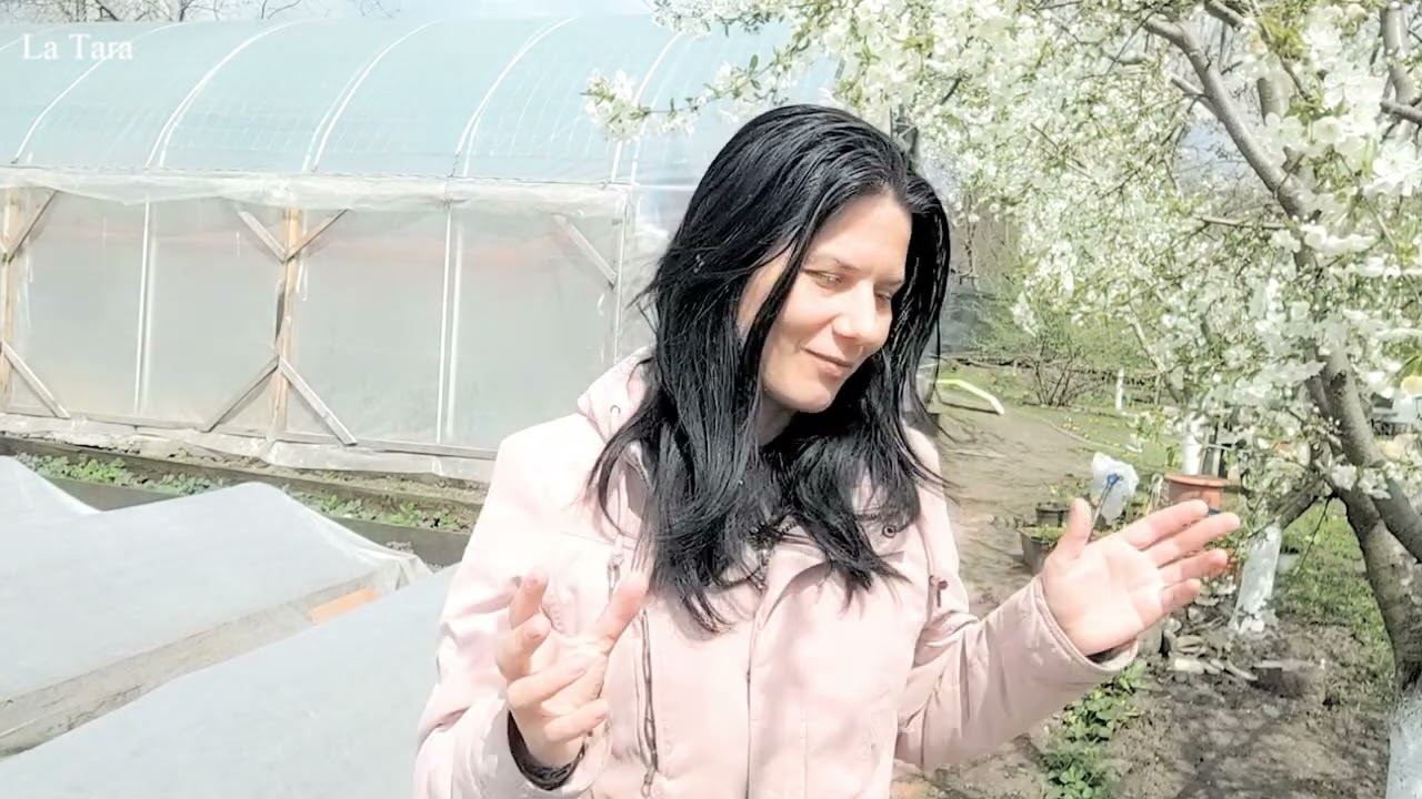 Mutarea de la oraș la țară sau la munte