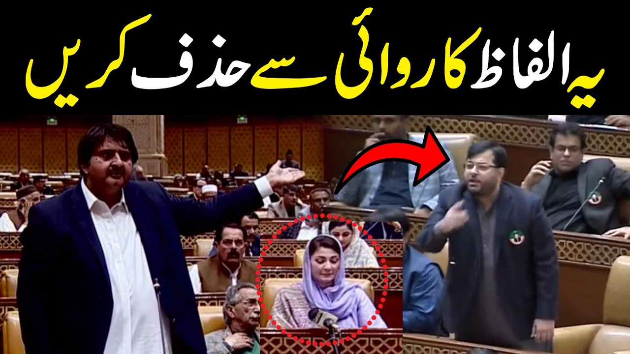 First Heavy Fight in Punjab Assembly | Hafiz Farhat Abbas vs Malik Ahmad Khan | Public News