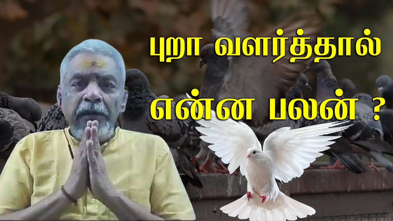 அதிர்ஷ்டம் தரும் பரிகாரங்கள் | லால்குடி கோபாலகிருஷ்ணன்