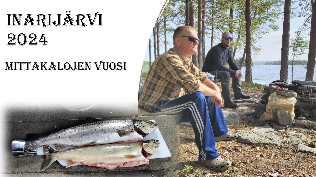 Inarijärvi 2024 / Harrit ja siiat kateissa