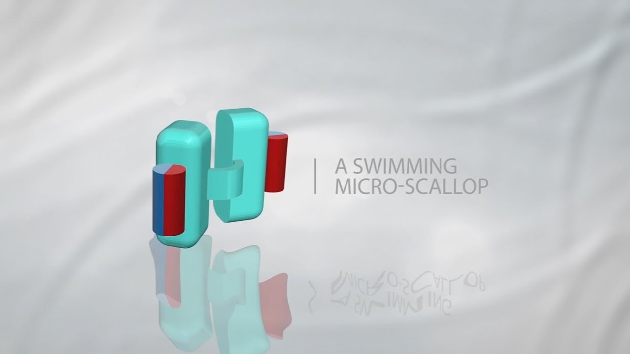 A Swimming Micro-Scallop