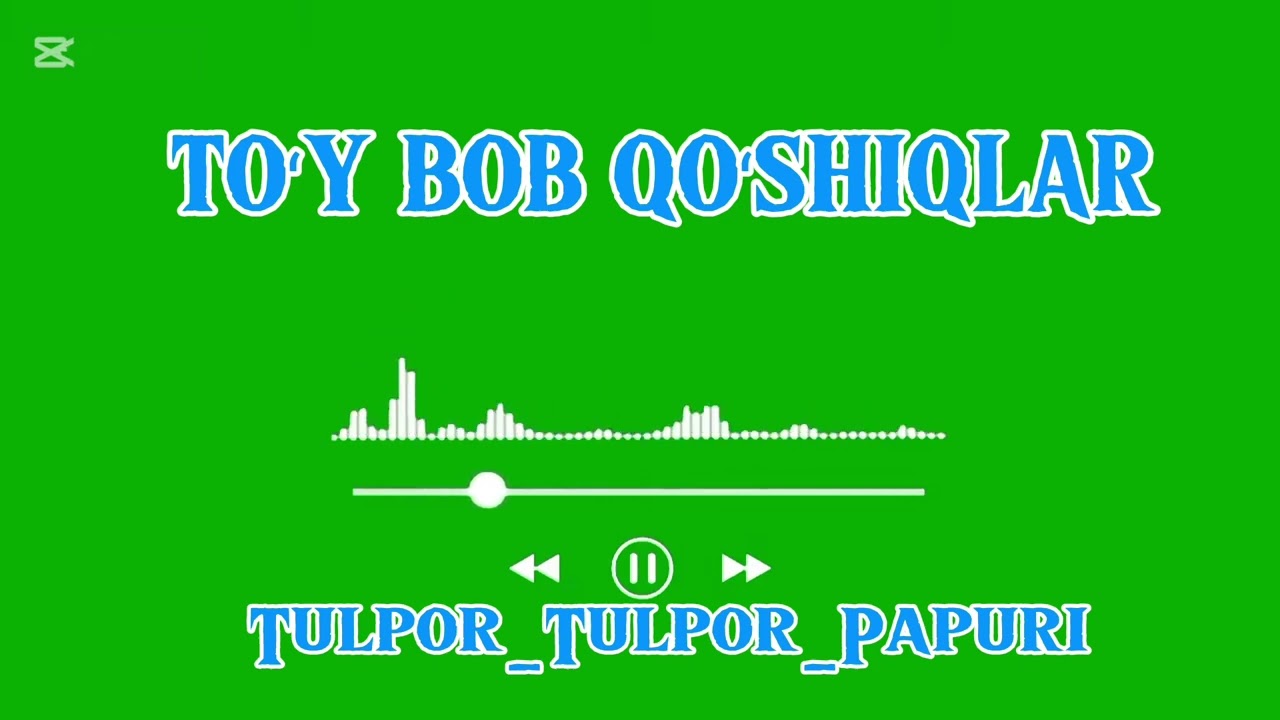 Tuy bob -Tulpor-tulpor(shoʻx qoʻshiqlar)