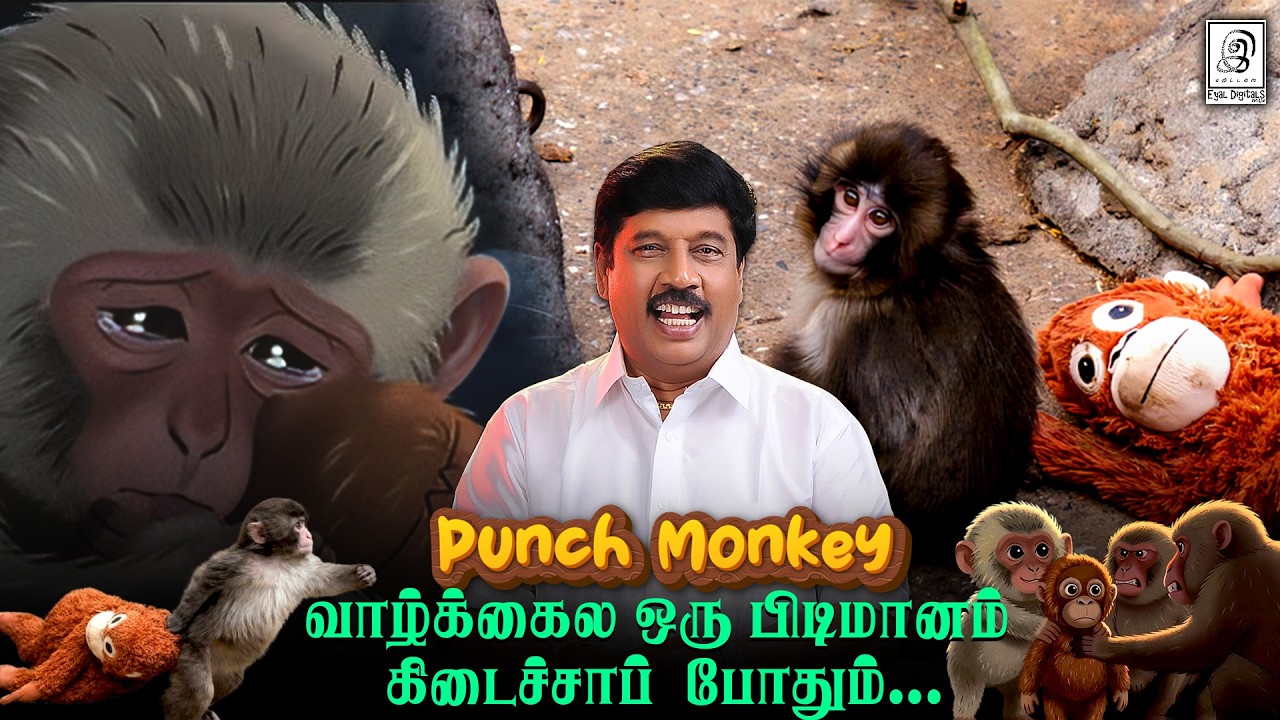 Punch Monkey நமக்குக் கற்றுக் கொடுத்த பாடம்.. #punchmonkey #monkey #monkeylove