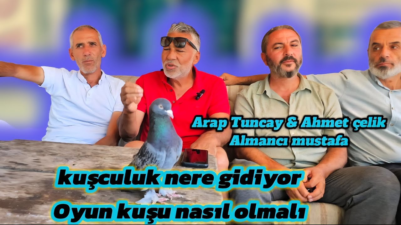 Kuşculuk nere gidiyor ve oyun kuşu nasıl olmalı Arap tuncay & Ahmet çelik ustalarla sohbet✅️ #keşfet
