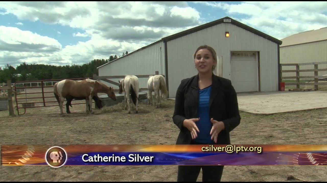 Equine Assisted Learning - Lakeland News at Ten - July 3, 2014