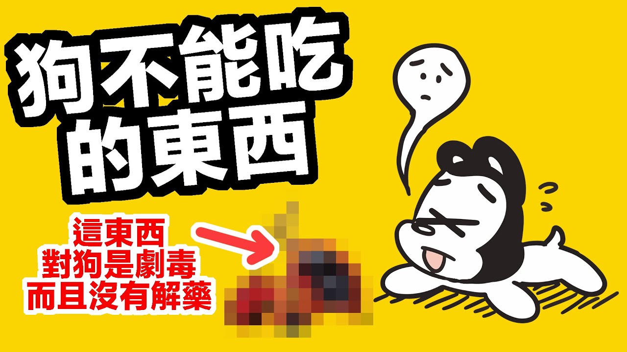 小心！這東西對狗是劇毒而且沒有解藥！ | 12種狗不能吃的東西 | 狗與鹿