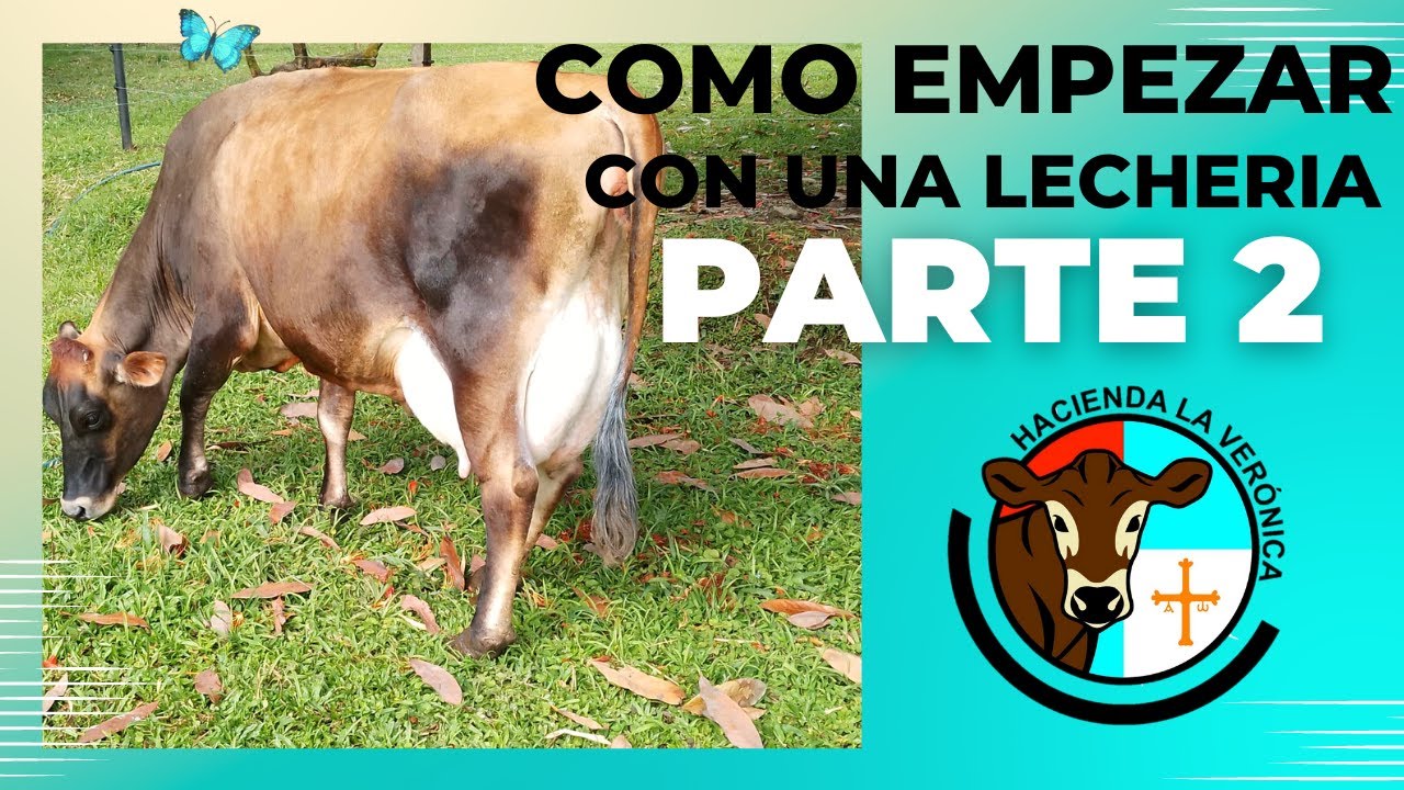 COMO EMPEZAR CON UNA PEQUEÑA LECHERIA EXITOSA SEGUNDA PARTE...