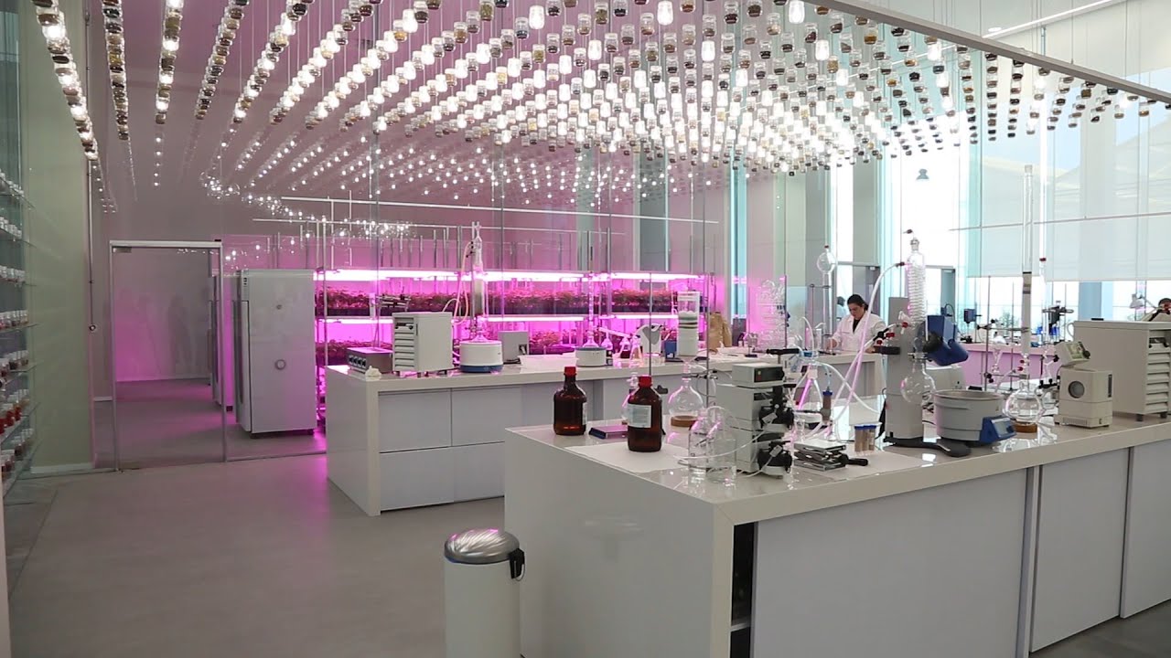 La biotecnológica Kimitec Group, premio Pyme del Año en Almería