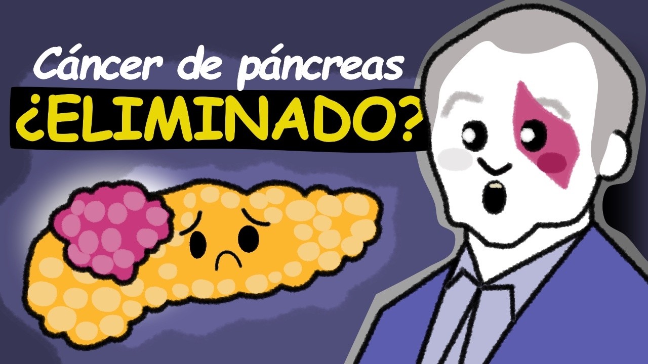¡El experimento que eliminó el Cáncer de Páncreas en ratones! (animación)