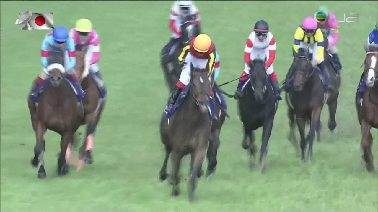 2020 Yasuda Kinen G1 - Gran Alegria (放聲歡呼) - K.Ikezoe