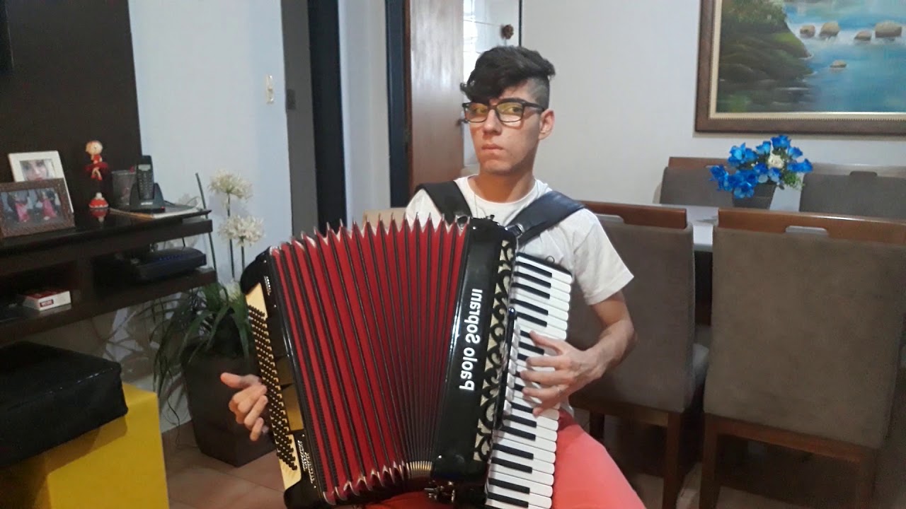 Henrique e Juliano  -  briga feia (cover sanfona)