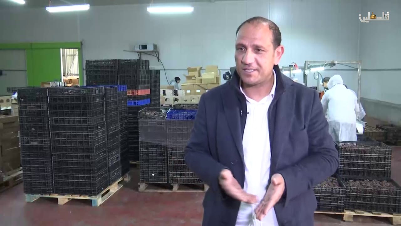 صنع في فلسطين مصنع التمور