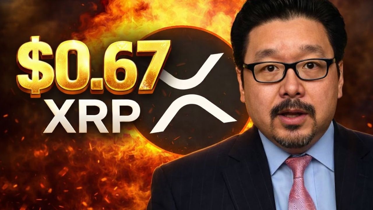 Аналитики прогнозируют цену XRP в $0,67 &ndash; вот почему это может спровоцировать взрывной разворот 💥
