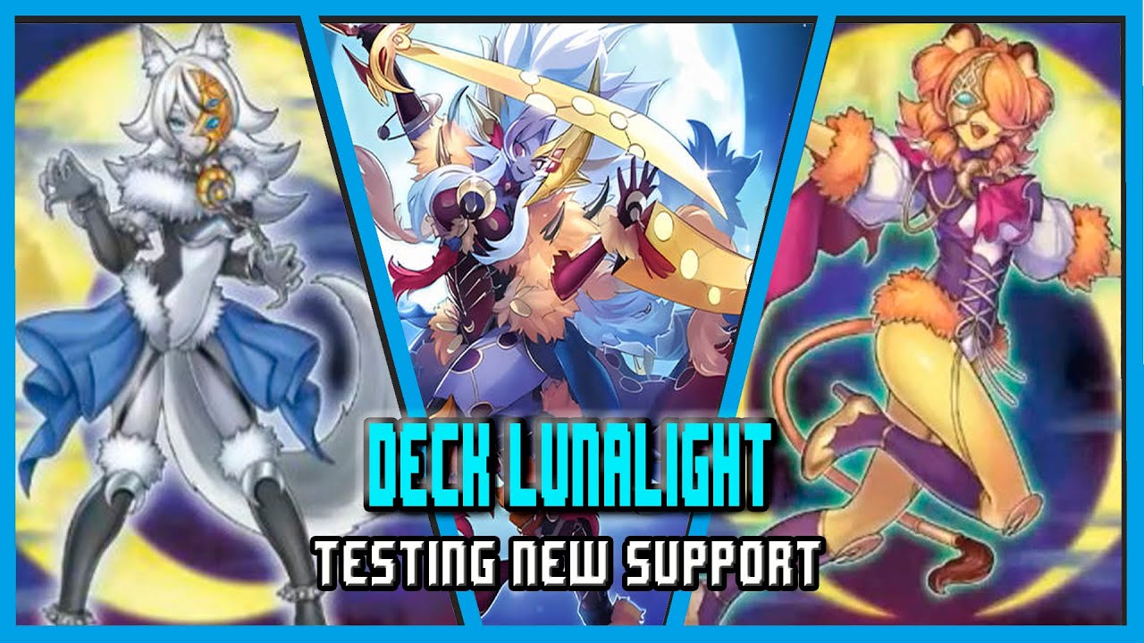 Deck Lunalight  Testing New Support (Abril 2025) Replays and Decklist |EdoPro| #yugioh #edopro
