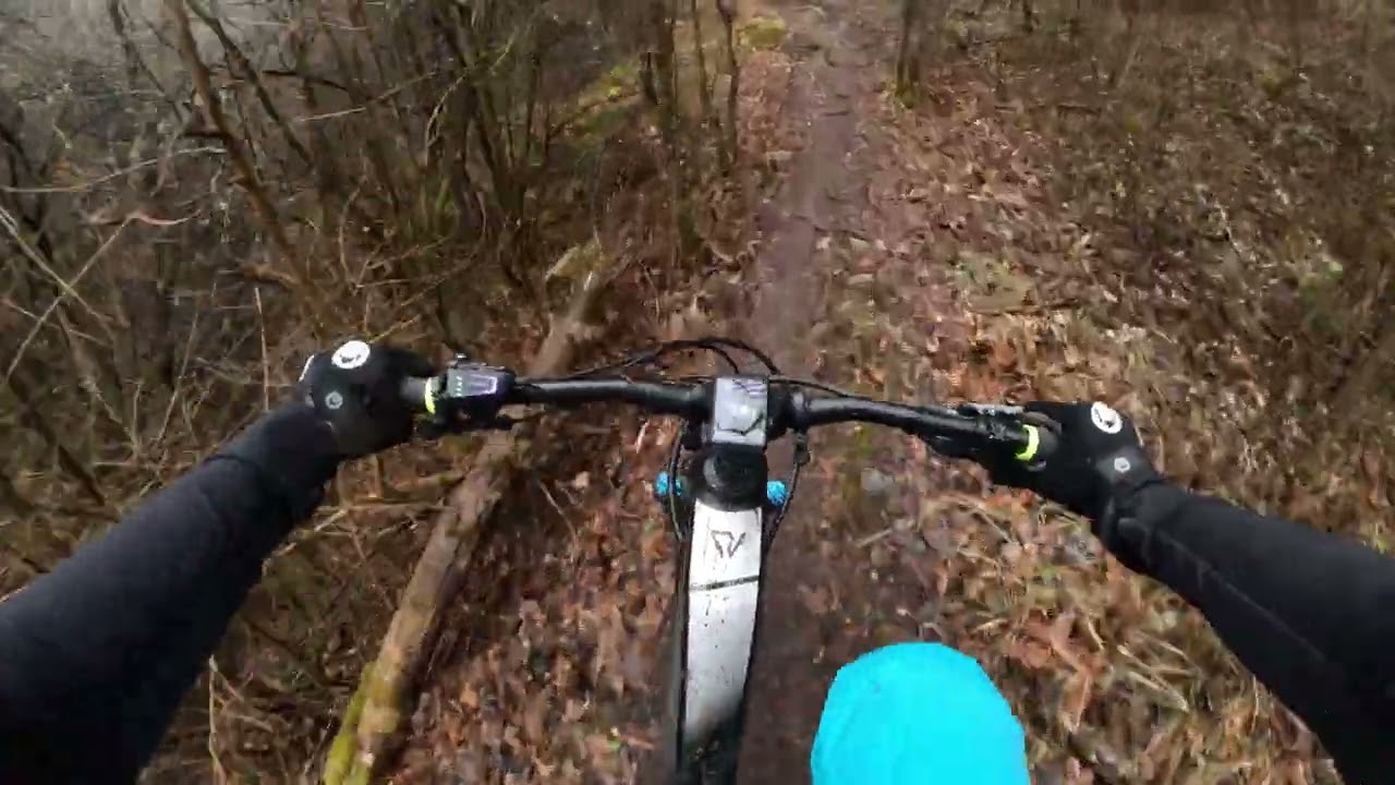 Podgumer 01.03.2025