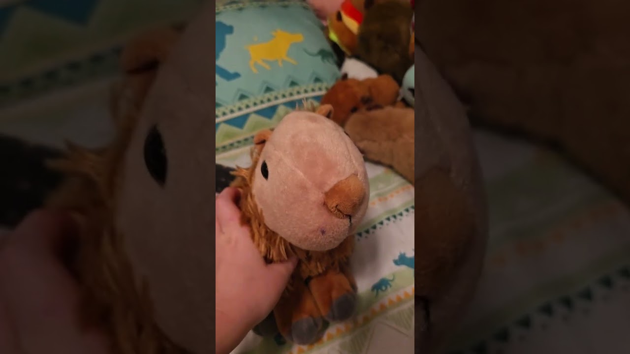 My capybaras wanted to meet you