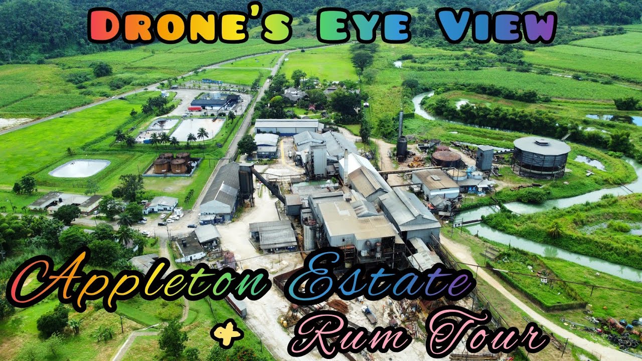 Appleton Estate & Appleton Rum Tour: St. Elizabeth | Experience of a Lifetime! | Drone's Eye View