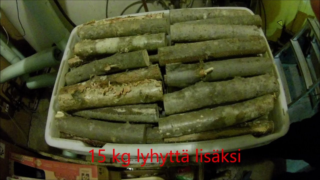 Pesällinen riittää kolmeksi päiväksi