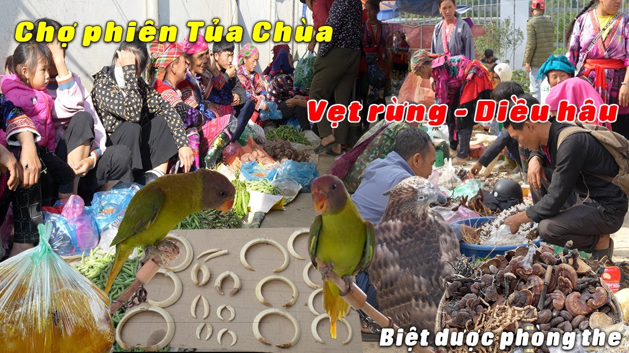 Ngỡ ngàng chợ phiên TỦA CHÙA - ĐIỆN BIÊN bán toàn đồ lạ | Tôi Người Vùng Cao