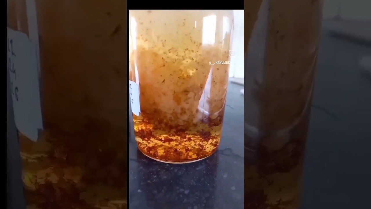 Estimation of Dissolved oxygen(DO)  from water sample