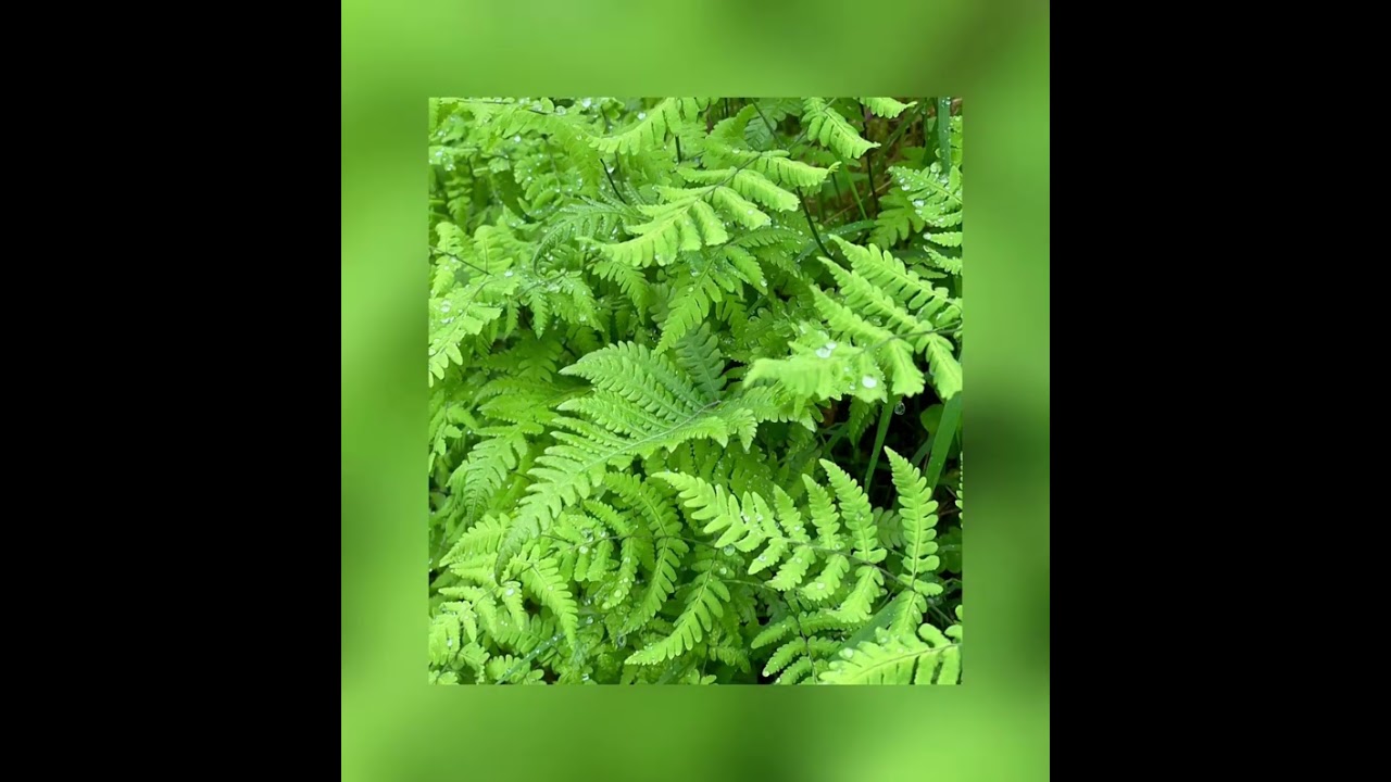 VaporGod - Luxxid Diamondz (tik tok ver. + Slowed & Reverb)