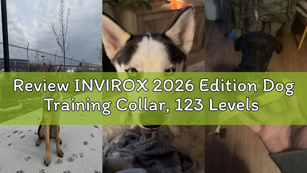 Review INVIROX 2026 Edition Dog Training Collar, 123 Levels for Reactive or Stubborn Dogs, 1100yd Lo