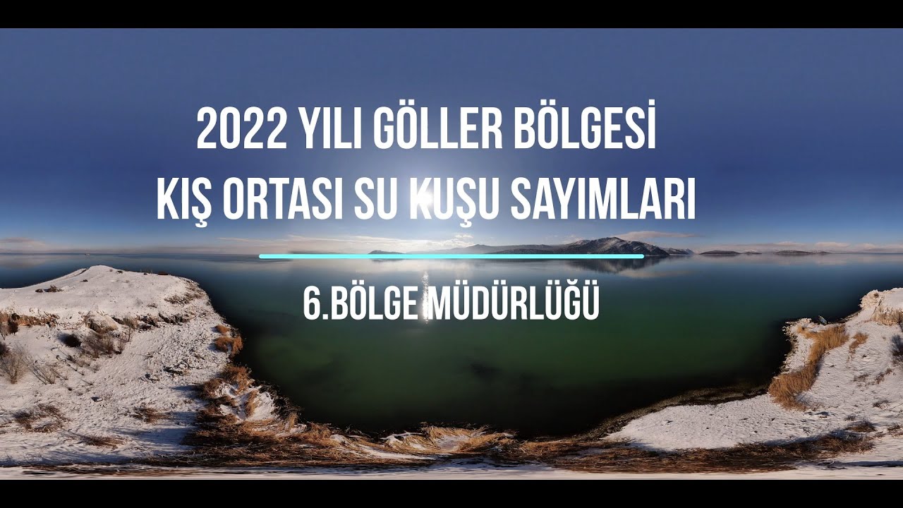 2022 KIŞ ORTASI SU KUŞU SAYIMLARI