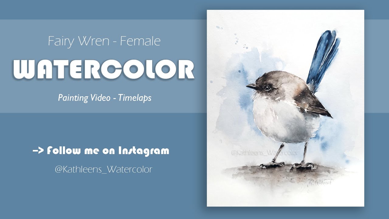 Watercolor Painting Process - Fairy Wren - How to paint a bird