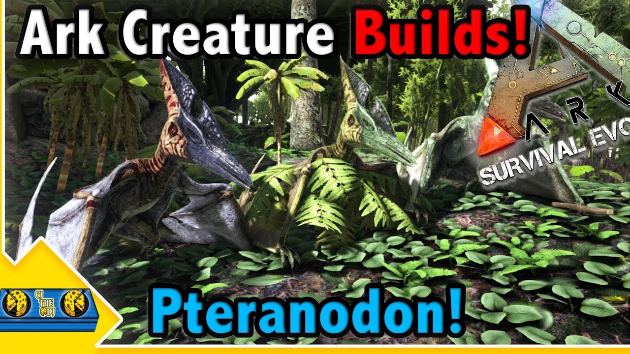 Ark Creature Builds!! || PTERANODON Builds! || Ark Survival Evolved!