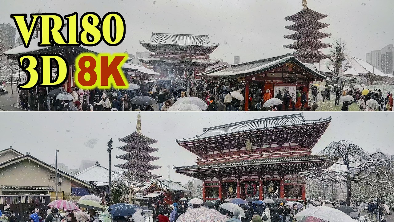 [ 8K 3D VR180 ]  東京・浅草の雪景色：観光客で賑わう東京・浅草寺 ＆浅草神社