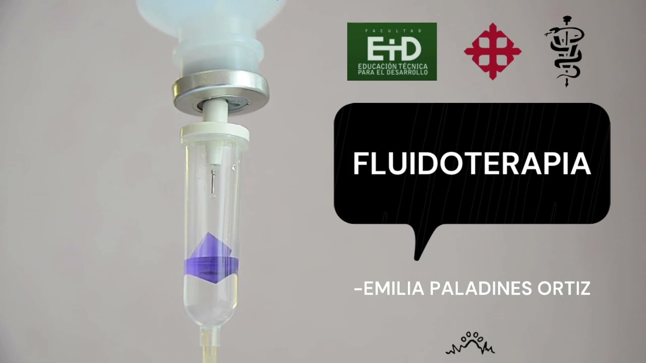 Fluidoterapia Veterinaria