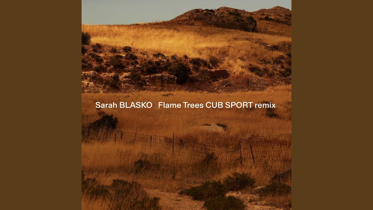 Flame Trees (Cub Sport Remix)