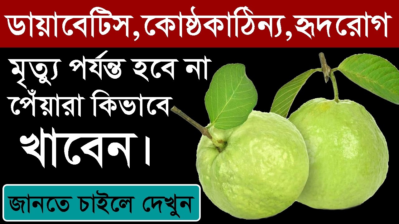 ডায়াবেটিস,কোষ্ঠকাঠিন্য,হৃদরোগ মৃত্যু পর্যন্ত হবে না পেঁয়ারা কিভাবে খাবেন জানতে চাইলে দেখুন। Guava