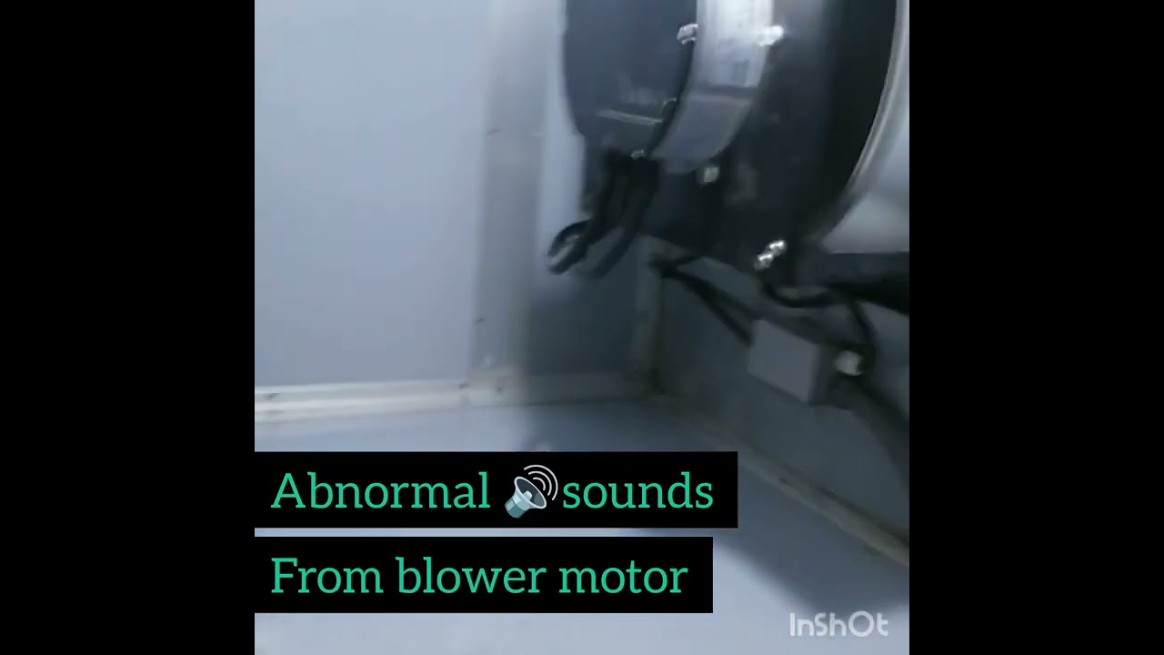 abnormal🔊 sounds coming from blower motor l 
