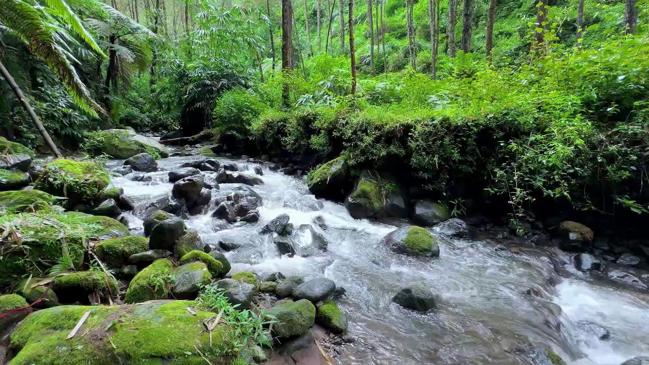 Calming river sound near peaceful tree-lined river easing thoughts into deeper deep sleep peacefully