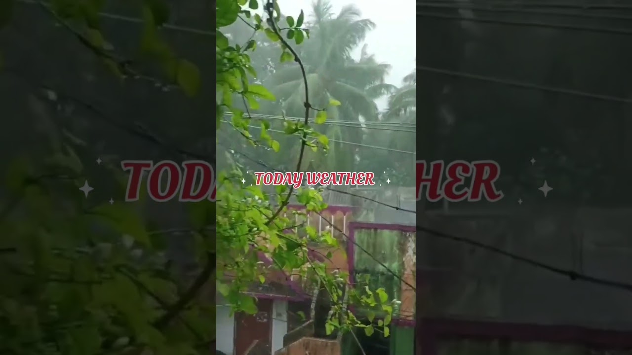 Today weather 🌨️🌨️#rain #rainsounds #weather #konaseema #amalapuram #heavyrain#clouds #youtubevideo