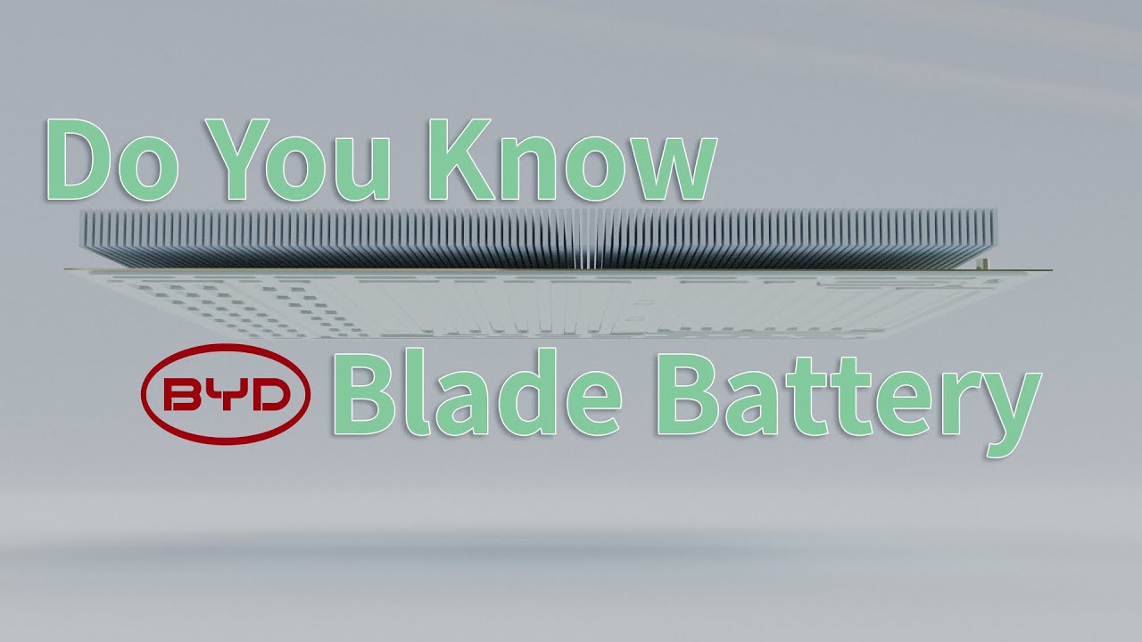 Do You Know BYD's Blade Battery? #byd #newbattery