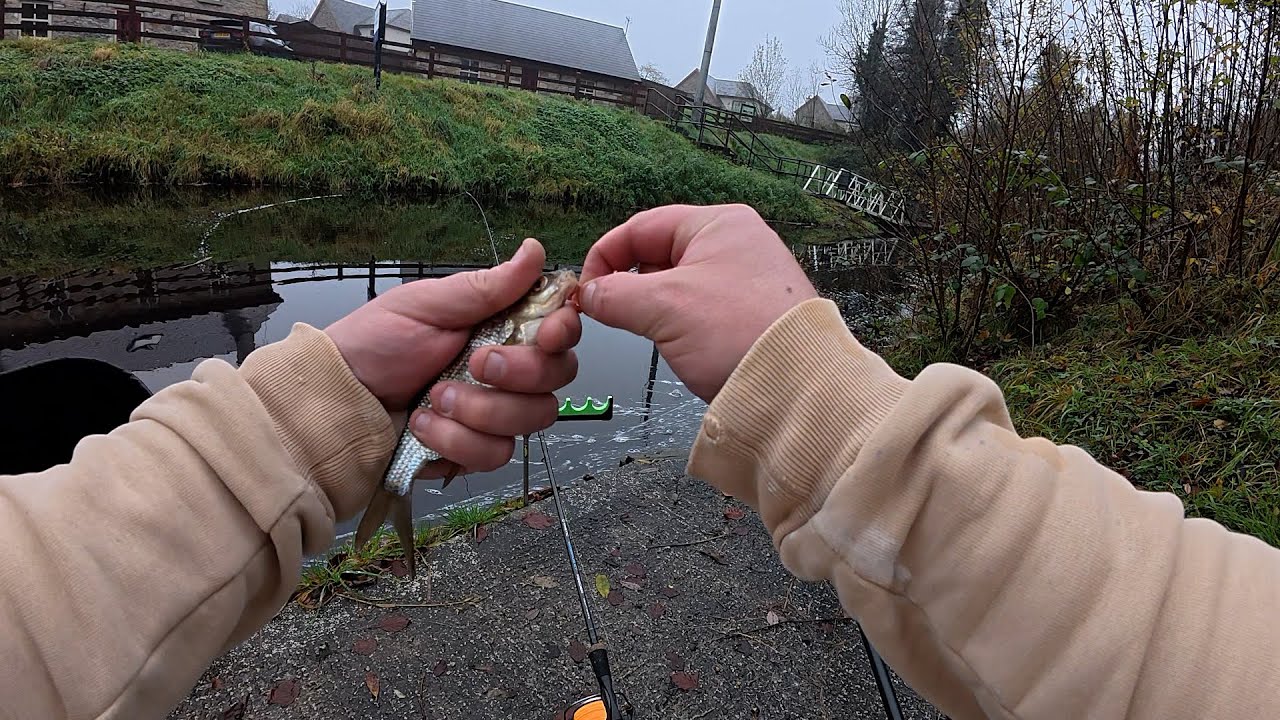 ОСІНІЙ КЛАСИЧНИЙ ФІДЕР НА РІЧЦІ 🎣
