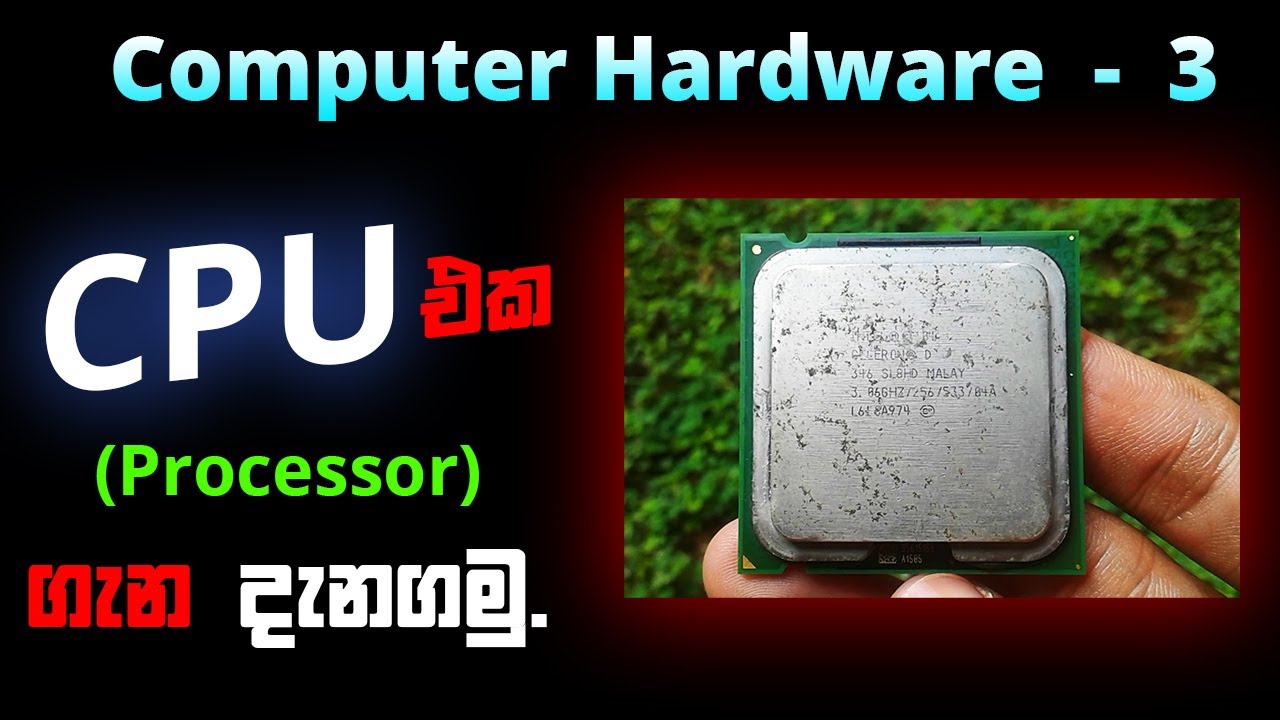 What is CPU (Processor) පිලිබද විස්තරේ | Part 3 | Computer Hardware sinhala | Anytiplk