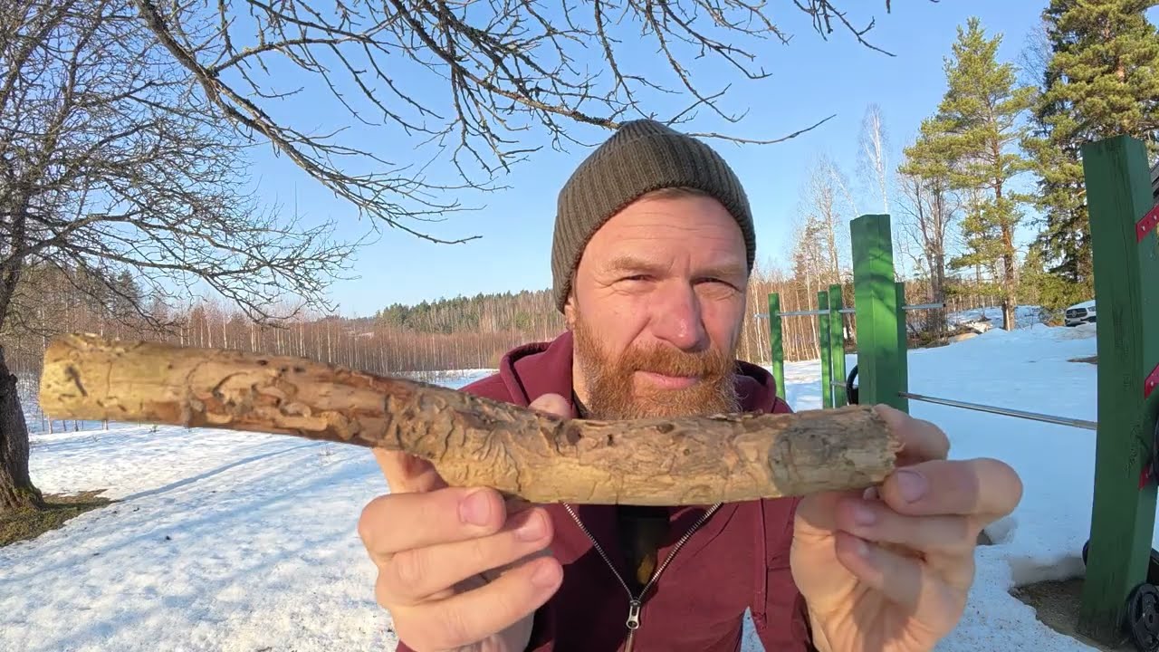 ŽMOGAUS POTENCIALAS: MENAS gyventi