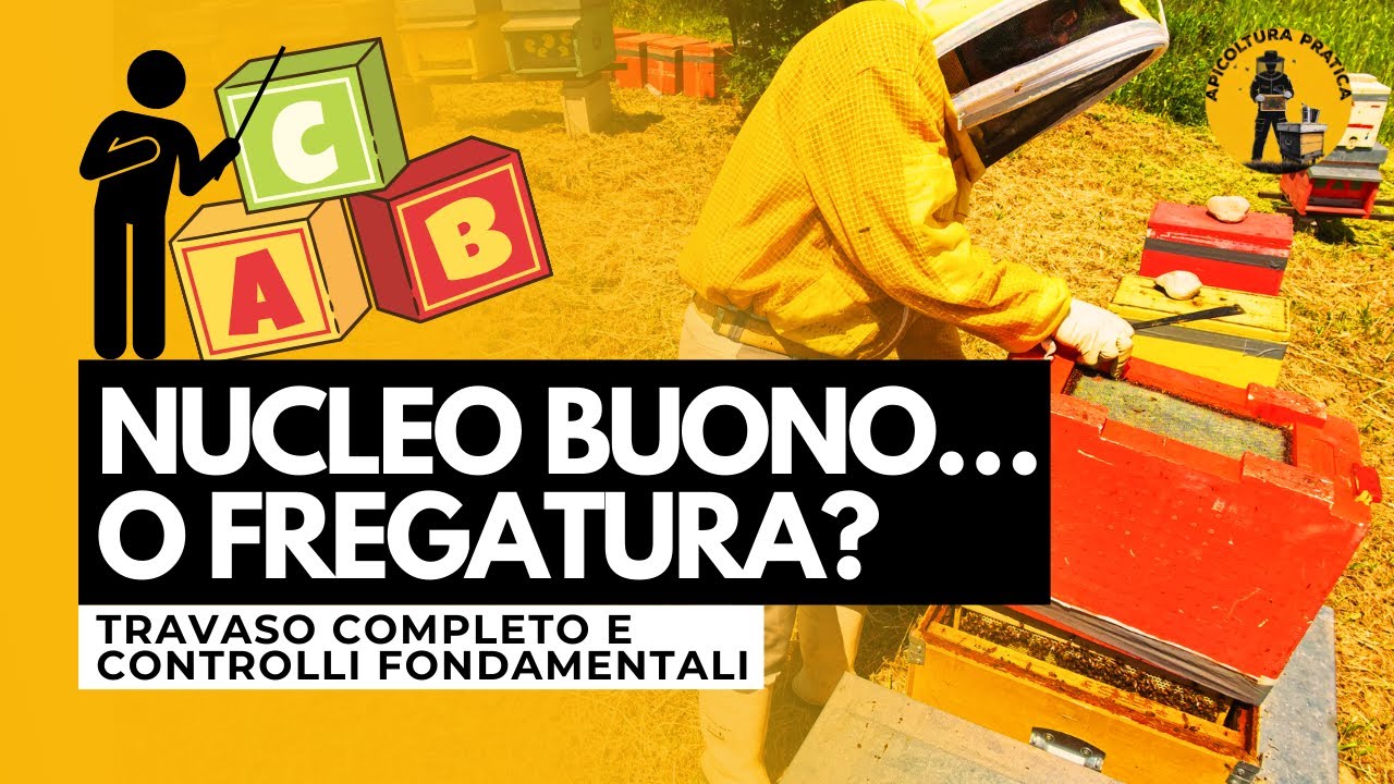 Acquisto di un NUOVO NUCLEO: lo TRAVASO e ti spiego COSA CONTROLLARE per non farti FREGARE!