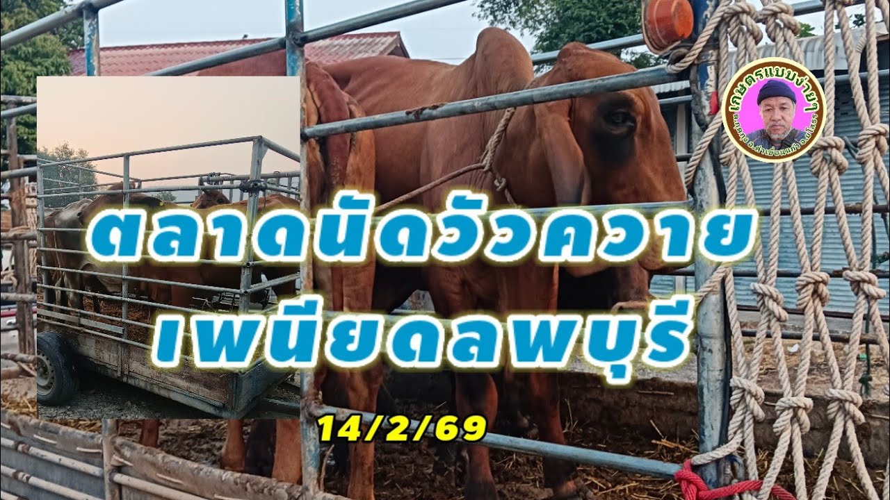 ราคาวันนี้#new