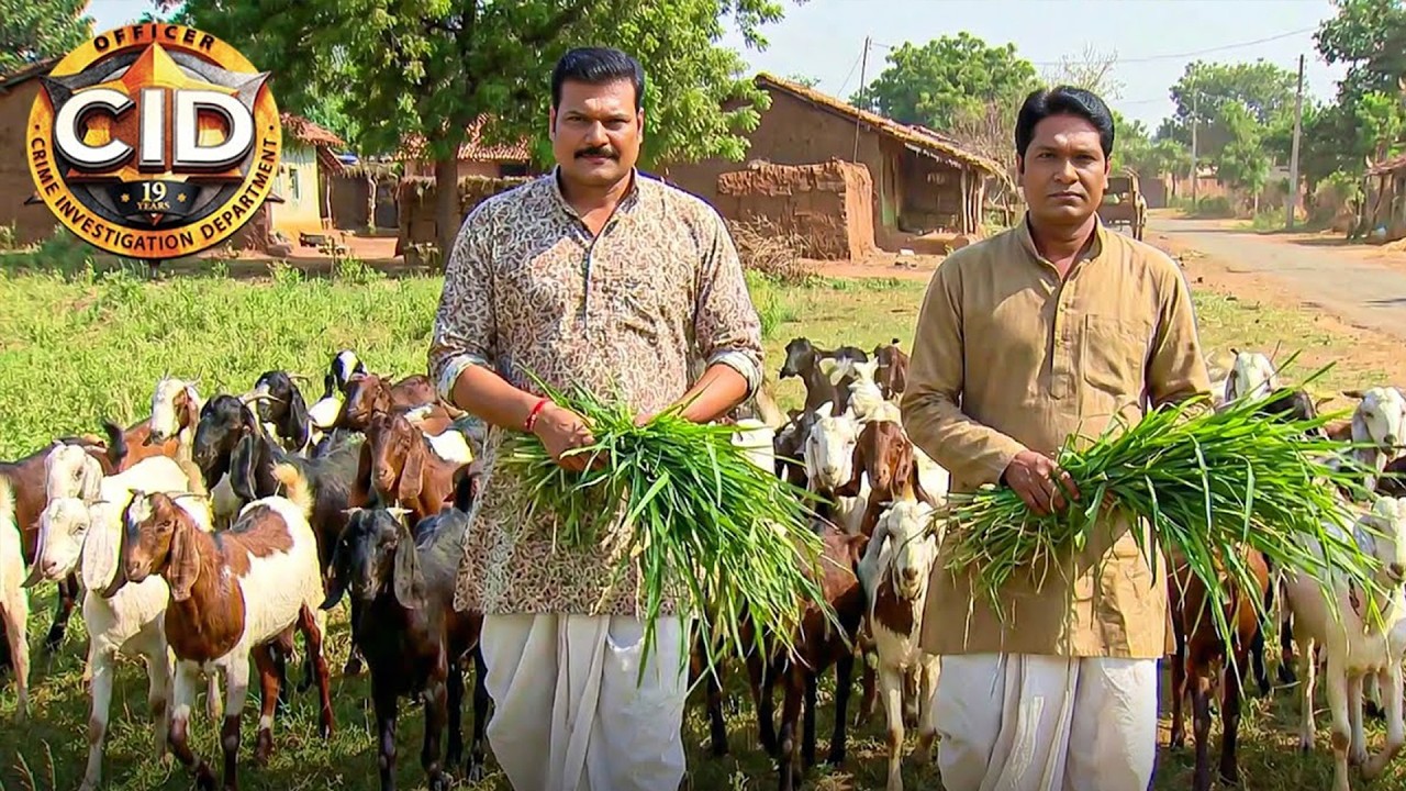बकरियों के पीछे छुपा था बड़ा राज | CID Mystery Case | CID Full Episode
