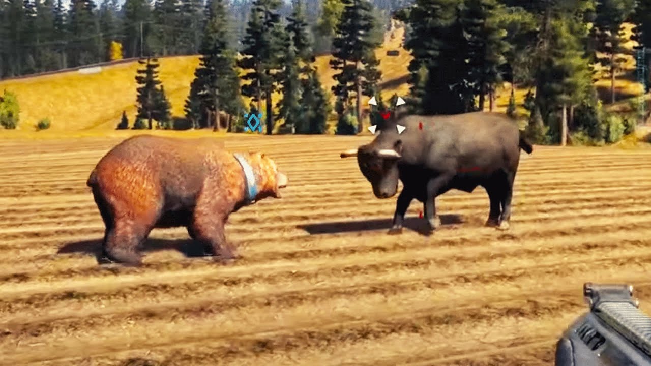 Insane Animal Fights & Attacks in Far Cry 5