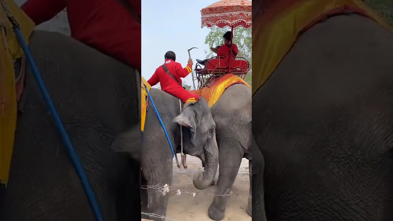 อุทยานประวัติศาสตร์อยุธยา ตอนที่ 1