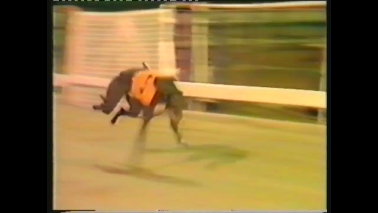 1985 TV TROPHY FINAL - SCURLOGUE CHAMP